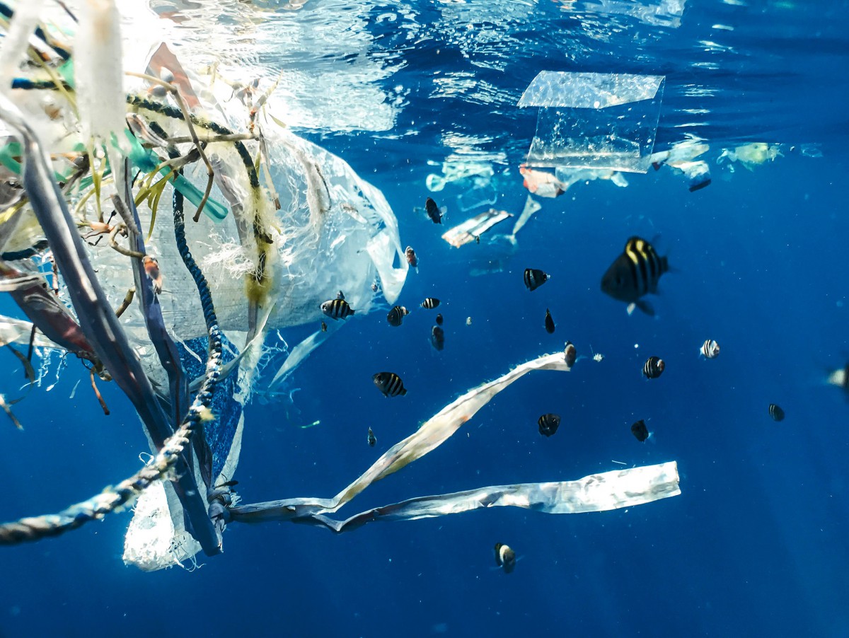 Plastik vergiftet unseren Planeten